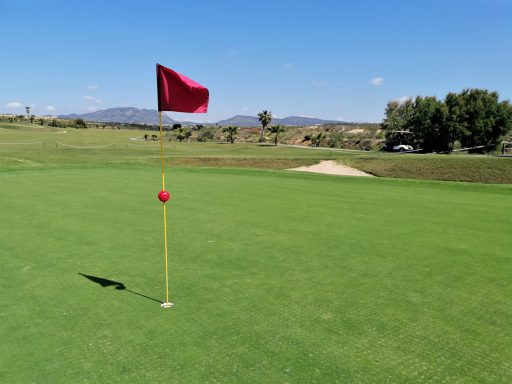 Maguey Green
