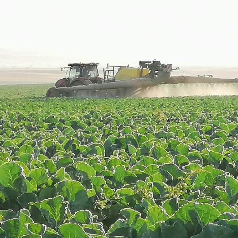 Abonado foliar